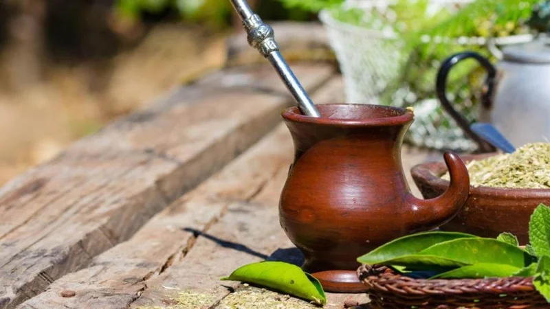 mate, yerba mate, boldo, 