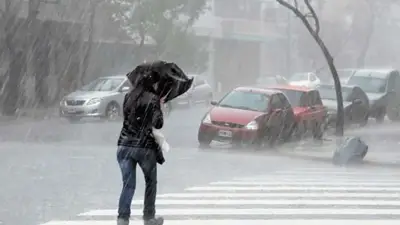 Lluvia Lluvia