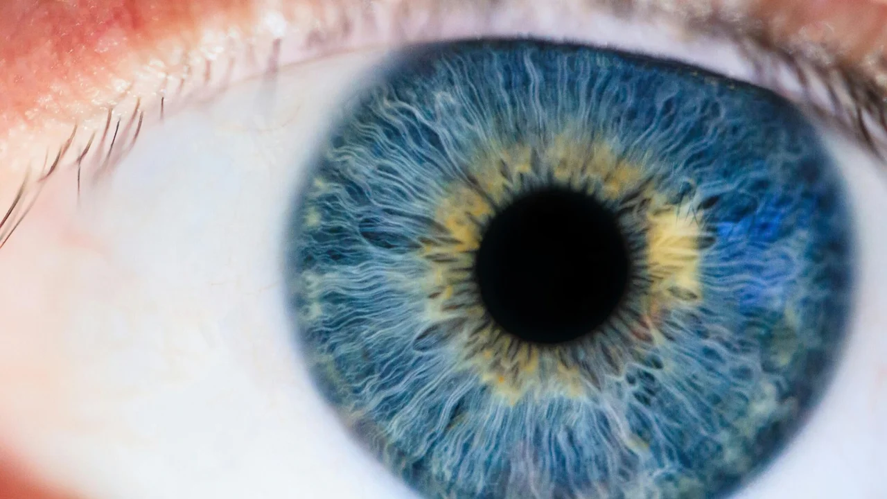 Descubren un "nuevo color" en la Universidad de California: cuál es su particularidad sobre el ojo humano