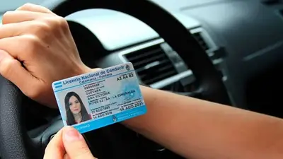 Nueva licencia de conducir profesional: cuáles son los cambios que rigen y cómo gestionarla Nueva licencia de conducir profesional: cuáles son los cambios que rigen y cómo gestionarla