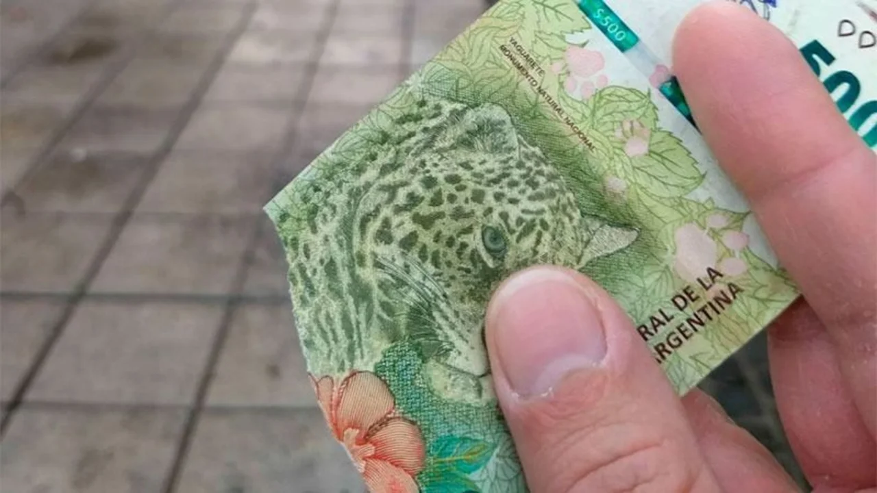 dinero, billetes, billete