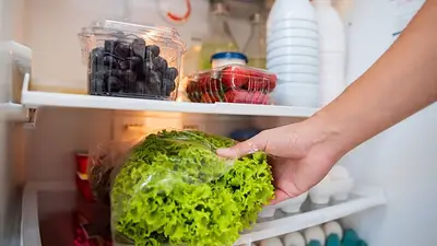 Cuál es el secreto para que la lechuga dure más tiempo en la heladera. Cuál es el secreto para que la lechuga dure más tiempo en la heladera.