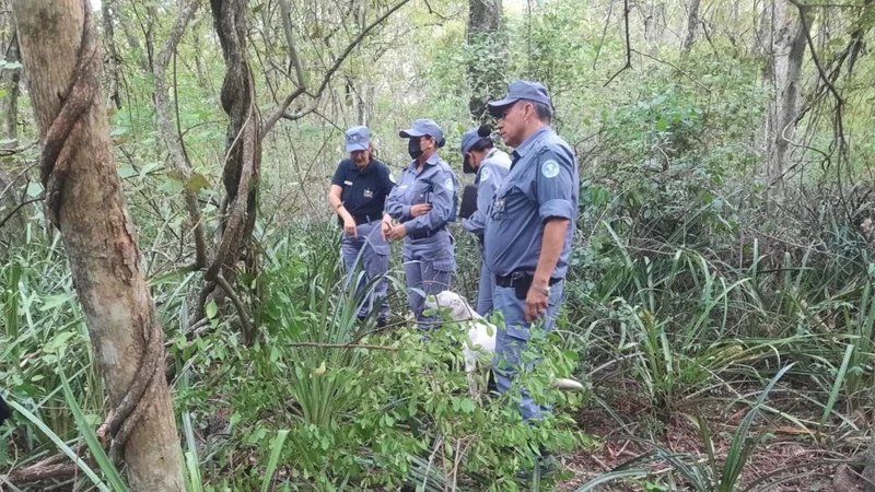 La policía de Formosa halló el cuerpo de una niña que estaba desaparecida y detuvo a los padres: los detalles del caso