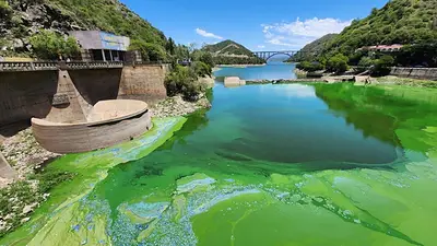 Córdoba: la Justicia ordenó un plan urgente de saneamiento por la contaminación del Lago San Roque Córdoba: la Justicia ordenó un plan urgente de saneamiento por la contaminación del Lago San Roque