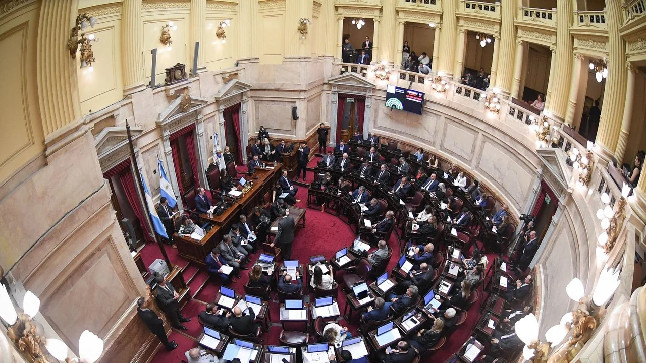 El Senado realizó una sesión en homenaje al papa Francisco
