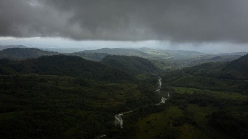 Conoce la Amazonia