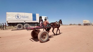 Agencias ONU para refugiados y alimentación planean fuertes recortes por menores fondos: memorandos