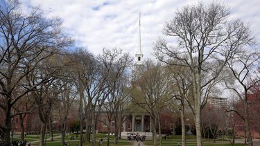 Gobierno de Trump restablecerá el estatus legal para los estudiantes extranjeros, por ahora