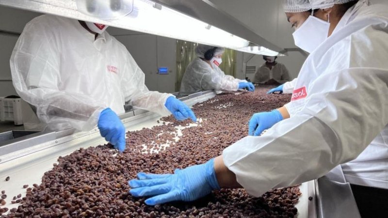 PIAR: cómo funciona el novedoso programa riojano que busca fortalecer y potenciar a Pymes del sector agroindustrial