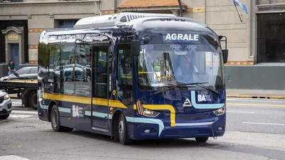Colectivo Colectivo