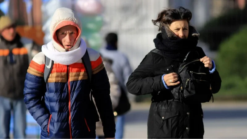 Frio