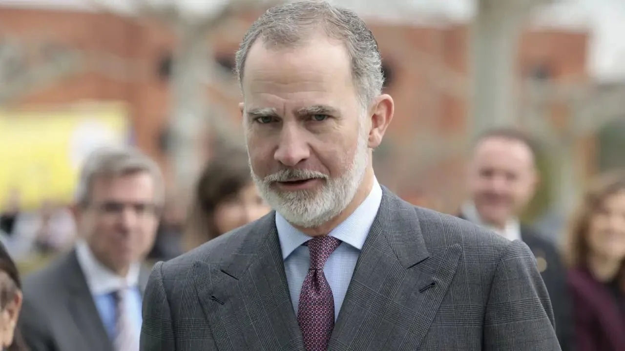 El rey Felipe VI
