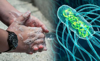 Alerta en el AMBA: confirman 10 casos de fiebre tifoidea | Salud