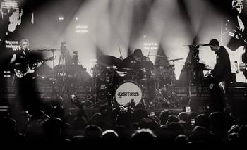 Usted Señalemelo en Niceto: volver al origen para encender el presente | Música