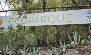 Transformaron el zoo de Mendoza en un ecoparque: una propuesta totalmente renovada | Mendoza