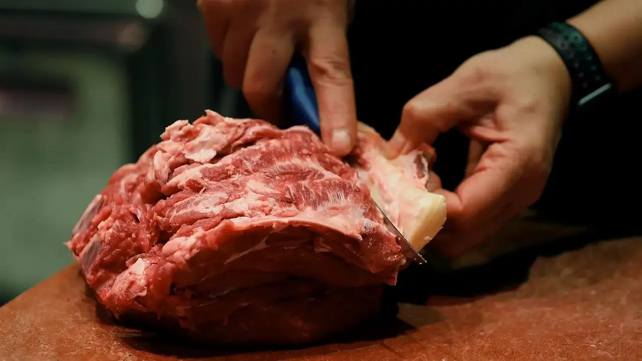 Pedazo de carne