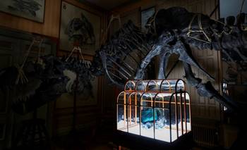 Diseñadores y científicos crean un bolso único usando colágeno de dinosaurio | Paisesbajos