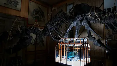 Diseñadores y científicos crean un bolso único usando colágeno de dinosaurio Diseñadores y científicos crean un bolso único usando colágeno de dinosaurio
