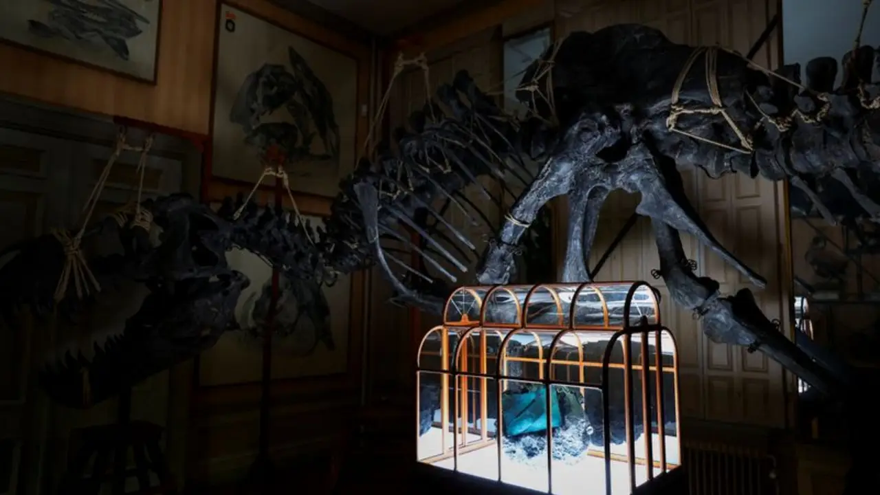 Diseñadores y científicos crean un bolso único usando colágeno de dinosaurio