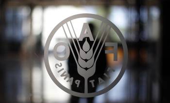 Los precios mundiales de los alimentos subieron en marzo, según la FAO | Mundo