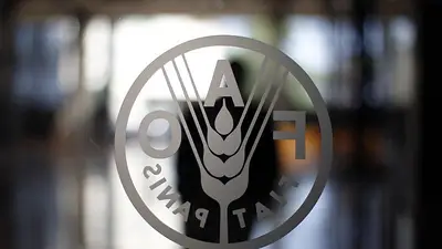 Los precios mundiales de los alimentos subieron en marzo, según la FAO Los precios mundiales de los alimentos subieron en marzo, según la FAO