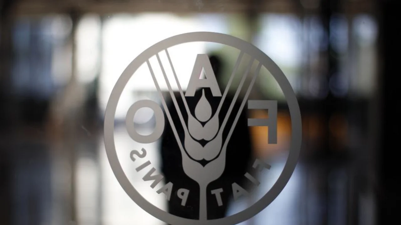 Los precios mundiales de los alimentos subieron en marzo, según la FAO