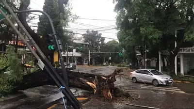 Fuerte temporal en el AMBA: inundaciones, árboles caídos y más de 80 milímetros de lluvia en tiempo récord Fuerte temporal en el AMBA: inundaciones, árboles caídos y más de 80 milímetros de lluvia en tiempo récord