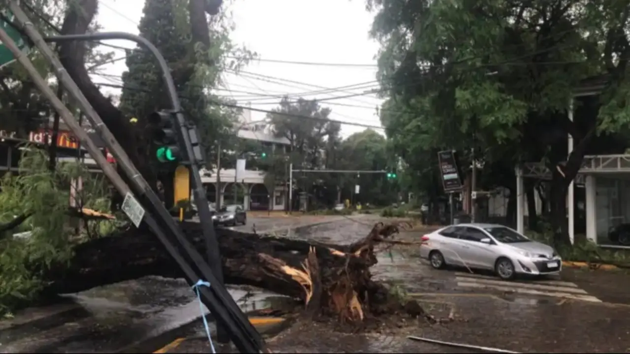 Fuerte temporal en el AMBA: inundaciones, árboles caídos y más de 80 milímetros de lluvia en tiempo récord