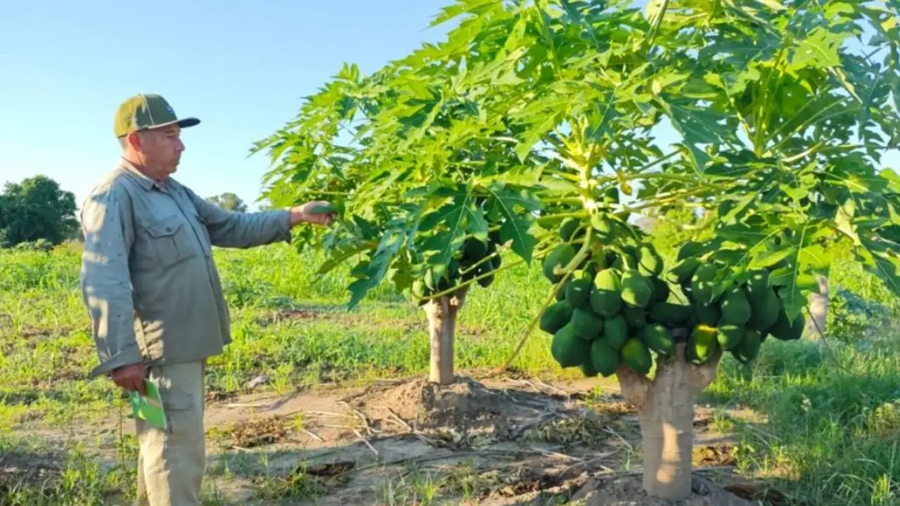 Desarrollo rural: Formosa impulsa la capacitación técnica para fortalecer la producción y el trabajo local