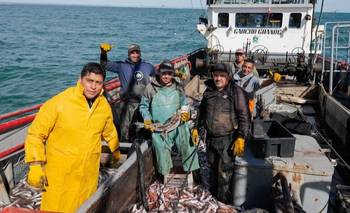 Gremios le reclaman a Vidal su intervención por un conflicto en una empresa portuaria | Santa cruz 
