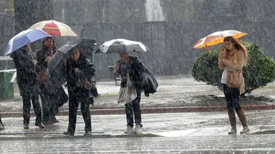 Personas con paraguas bajo la lluvia. Personas con paraguas bajo la lluvia.