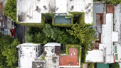 Vecinos de Almagro quieren convertir un "mini bosque" de la ciudad en una reserva ecológica Vecinos de Almagro quieren convertir un "mini bosque" de la ciudad en una reserva ecológica