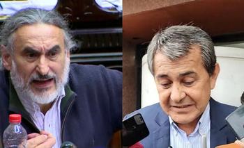 Basterra cruzó a Basualdo por los desmontes ilegales en Formosa | Luis basterra