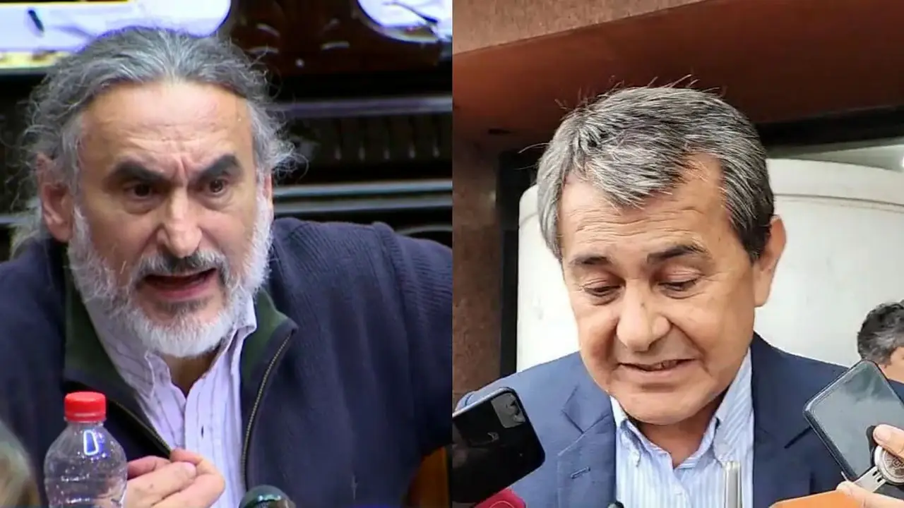 "Total desprecio": Basterra cruzó a Basualdo por los desmontes ilegales en Formosa y pidió el embargo de su dieta