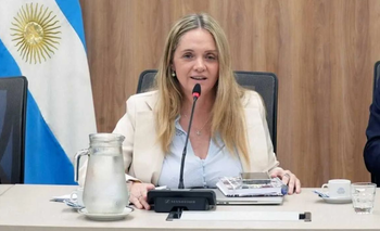 Mientras viajar cuesta más, una diputada libertaria usó pasajes oficiales para su hijo  | Crisis del transporte