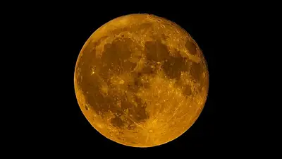 Sri Lanka tiene feriado en cada luna llena. Qué significa el día Poya y por qué es tan importante. Sri Lanka tiene feriado en cada luna llena. Qué significa el día Poya y por qué es tan importante.