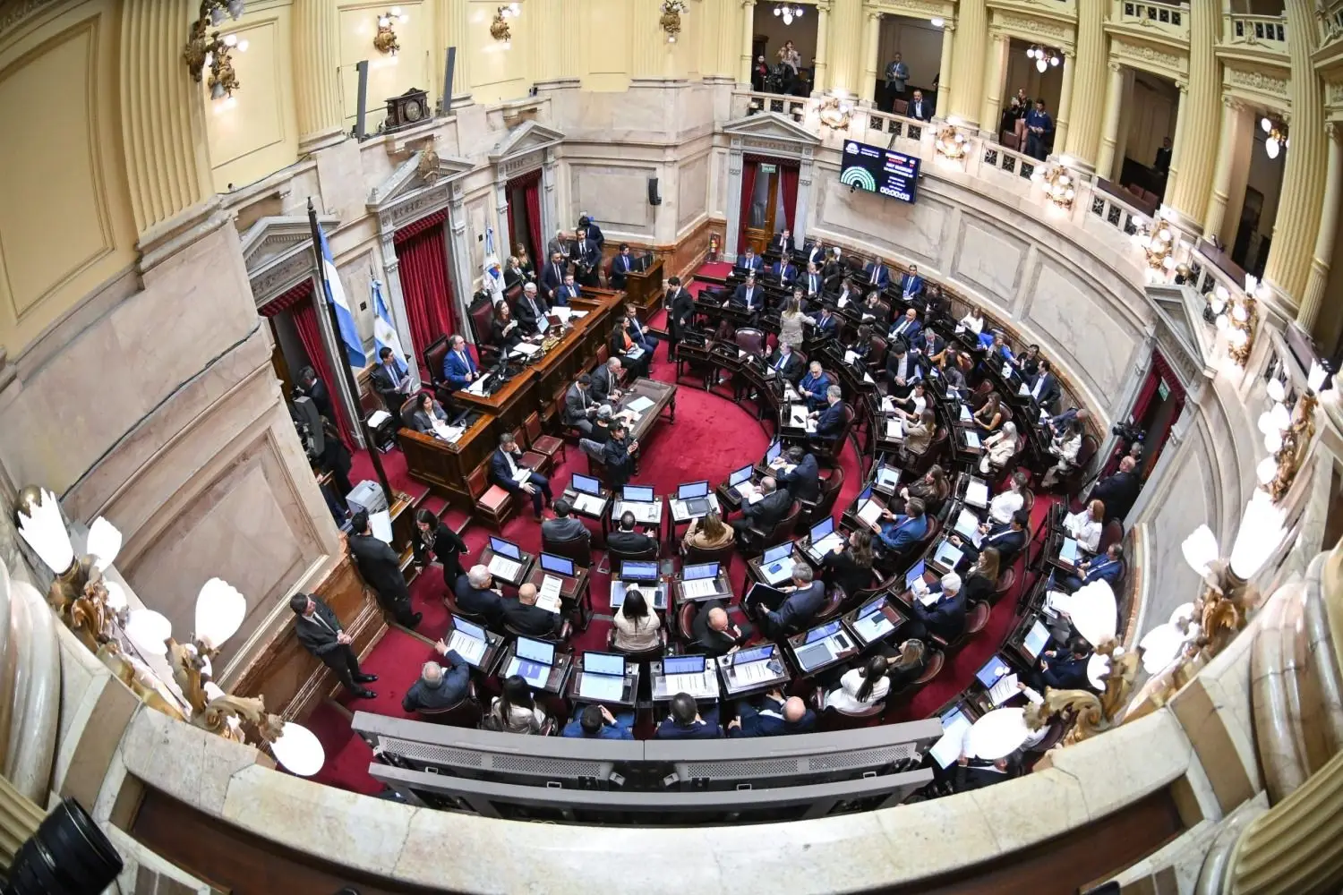 senado