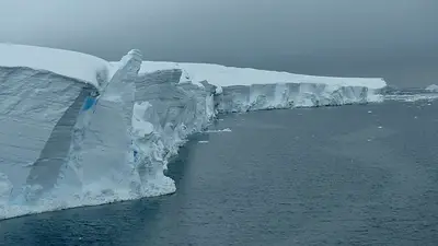 Un muro submarino: la propuesta de científicos para salvar al glaciar del Juicio Final Un muro submarino: la propuesta de científicos para salvar al glaciar del Juicio Final