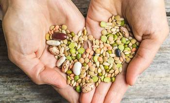 Qué semillas son ideales para preparar compresas caseras y reducir el dolor | Salud