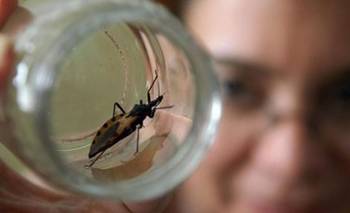 Cambio de paradigma: el Chagas ya es una enfermedad global | Ciencia 