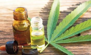 Santa Fe: impulsan ley para que las farmacias puedan dispensar cannabis medicinal | Salud