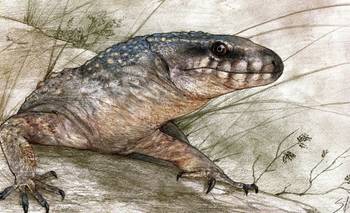 Descubren una lagartija que vivió a los pies de los dinosaurios hace 70 millones de años | Sensacional hallazgo