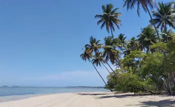Turismo: récord de argentinos en Brasil para marzo | Sangría de reservas
