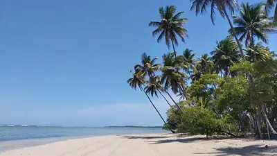 playa de brasil playa de brasil