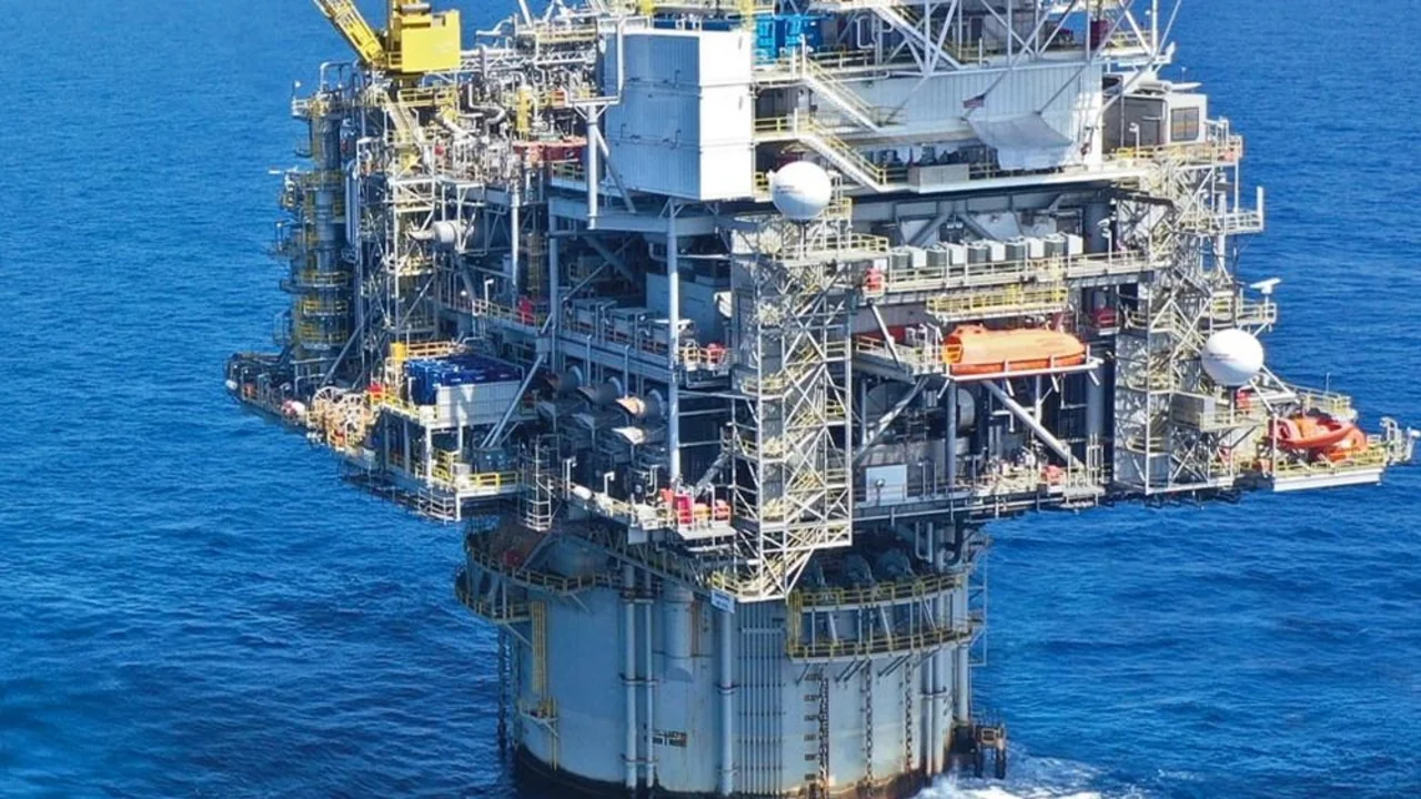 Navitas reemplazará a dos proveedores y anunció que seguirá adelante con Sea Lion