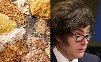 Paro en una importante fábrica de alimentos balanceados por reducción salarial | Crisis económica