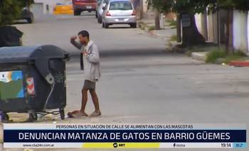 Pobreza extrema en Córdoba: vecinos denuncian desaparición de gatos para consumo | Córdoba 