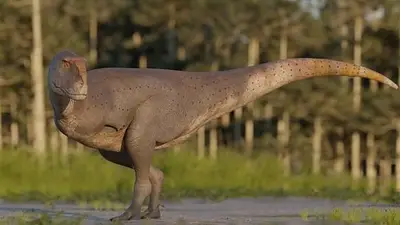 Caminó hace 150 millones de años atrás: el nuevo dinosaurio que encontraron los científicos del CONICET Caminó hace 150 millones de años atrás: el nuevo dinosaurio que encontraron los científicos del CONICET