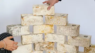 ladrillos de micelio. ladrillos de micelio.