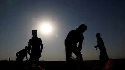Agencias de la ONU advierten que el calor extremo amenaza los sistemas alimentarios mundiales Agencias de la ONU advierten que el calor extremo amenaza los sistemas alimentarios mundiales